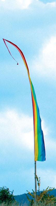 Fahne Regenbogen, L 5,5 m