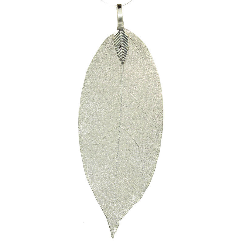Bodhibaum Blatt 6-8 cm